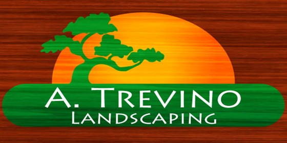 Graphic Design: A Trevino Landscaping